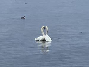 IMG_3325_original_copy_1_copy_1